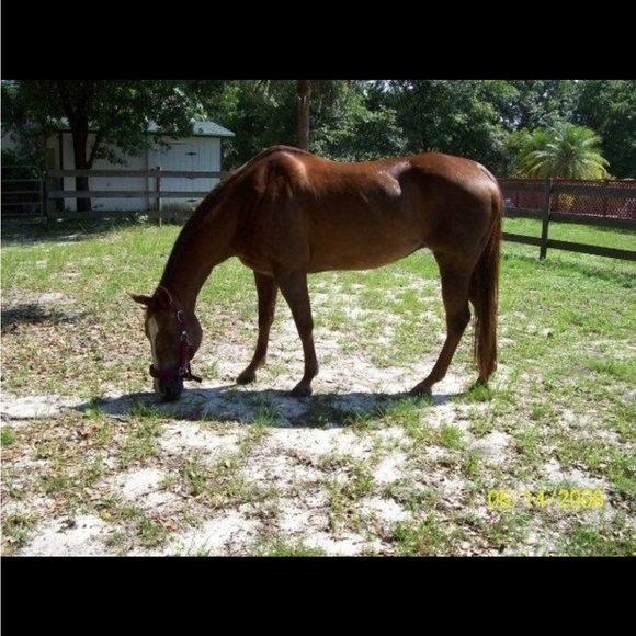 Meet your Posher, Victoria - Picture 9 of 13